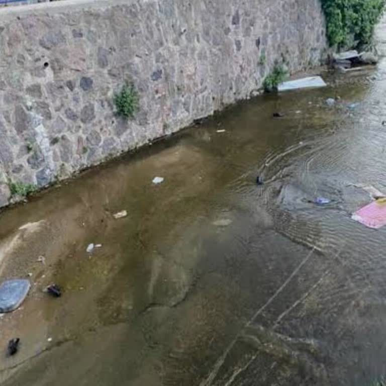 Kötü Koku Ve İlaçlama Eksikliği Mahallede Sağlık Ve Uyku Sorunu Yaratıyor