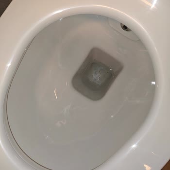Kale Optimum Serisi Klozette Çıkarılamayan Kahverengi Lekeler