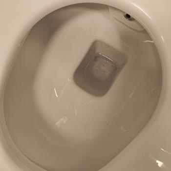 Kale Optimum Serisi Klozette Çıkarılamayan Kahverengi Lekeler