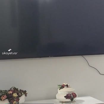Dijitsu Kanal Değiştirmede Yaprak Resminin Ekrana Gelmesi
