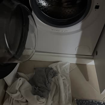 Yeni Çamaşır Ve Kurutma Makinelerinde Aşırı Sallanma, Su Kaçırma Ve Servis Kaydı Açma Sorunu