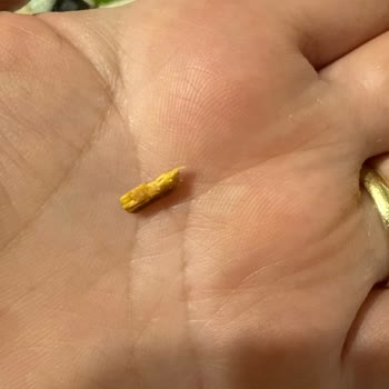 Nut Master Fıstık Ezmesinde Ağaç Parçası Keşfi Ve Ağız Yarası