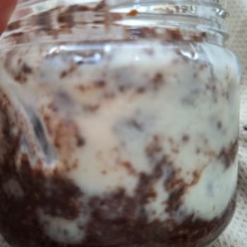 Migros Yemek Kumpir Ve Oreo'lu Magnolia Siparişinde Hijyen Eksikliği Ve İade Talebi