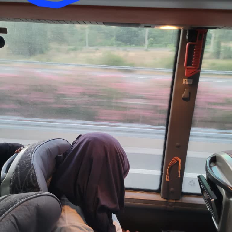 Geciken Otobüs Ve Haksız Koltuk Değişikliği Nedeniyle İade Talebi