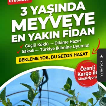 Kurumuş Çilek Fidanları Ve İletişimsiz Satıcıya Karşı 899 TL İadesi Talebi