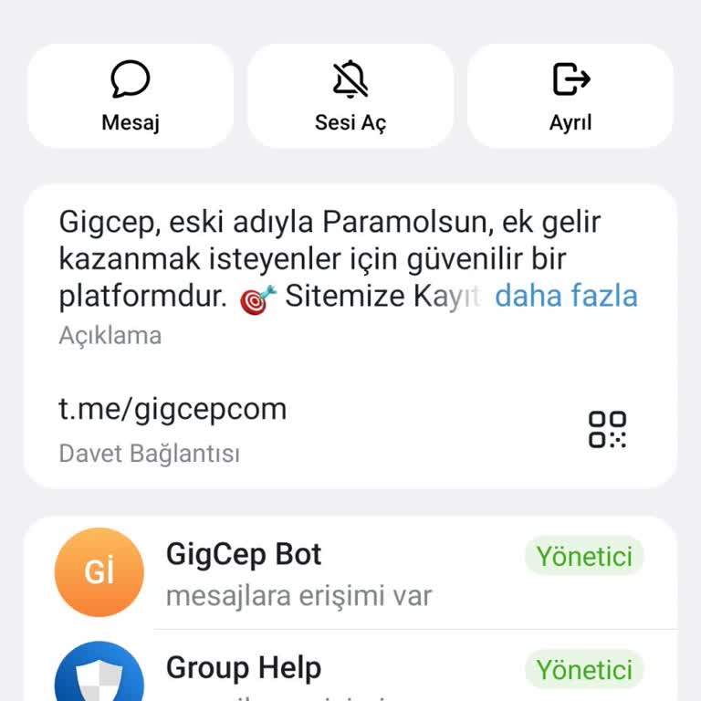 Papara’nın Açıklamasız Kısıtlaması Gigcep Ve Kullanıcılarını Mağdur Ediyor