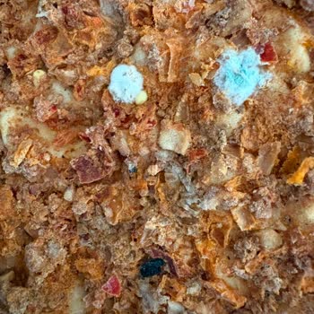 Migros Gaziosmanpaşa Şubesinde Küflü Dondurulmuş Lahmacun Ürünü