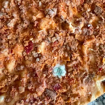 Migros Şubesinde Küflü Dondurulmuş Lahmacun Satın Aldım