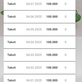 Taahhüt Edilen Teslim Tarihinin İki Yıl Gecikmesi Ve Proje Durdurulması Nedeniyle İade Talebi