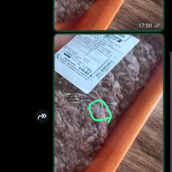 Hamburger Köftesinde Kıl Çıktı, 15 Gün Boyunca Geri Dönüş Yok