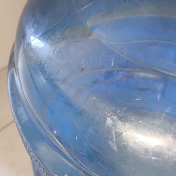 Sırma Su Damacanasında Böcekli Su: Hijyen İhmali Ve Sağlık Riski