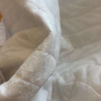 Bambi Yatakta Gözle Görülür Bir Tüylendirme Sorunu Oluştu