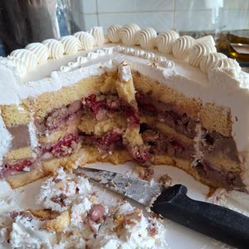 Limp Cake Ödediğimiz 5.000 TL Tamamen Boşa Gitmiş Oldu