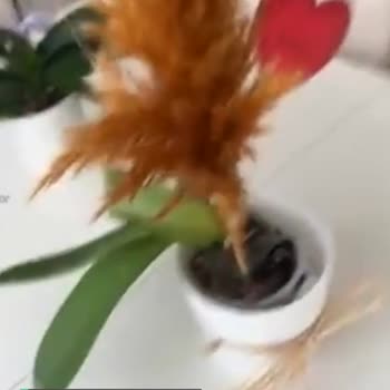 Çiçek Sepeti Solmuş Çiçek