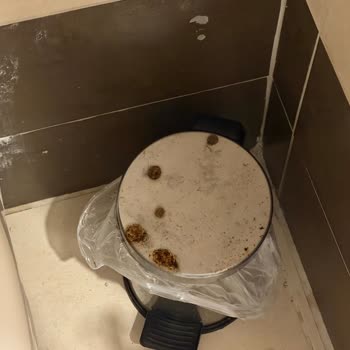 Çatlak Duvarlar Ve Eski Oda İçin Ücret İadesi Talebi