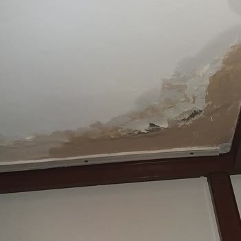 Güvenlik Açığı Ve Tehdit: Remax Ve Ev Sahibi İhmali