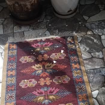 Güvenlik Açığı Ve Tehdit: Remax Ve Ev Sahibi İhmali