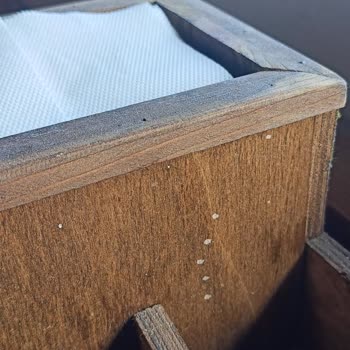 Sağlık Riski Taşıyan Tozlu Ve Gürültülü Ortamda Hijyenik Olmayan Servis