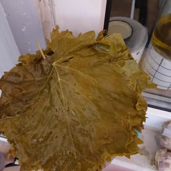 Kalitesiz Ürün Ve Cevapsız Müşteri Desteği
