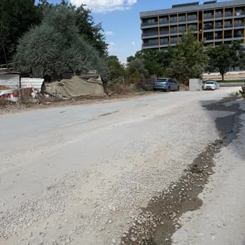 Yörükoğlu Caddesi'nde Toz Ve Haşere Sorunları İçin Acil Çözüm Talebi