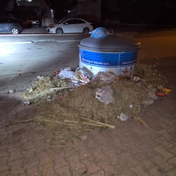 Çöp Konteyneri Çevresindeki Atık Birikimi Çocuklarımızı Sağlıksız Ortama Sürüyor