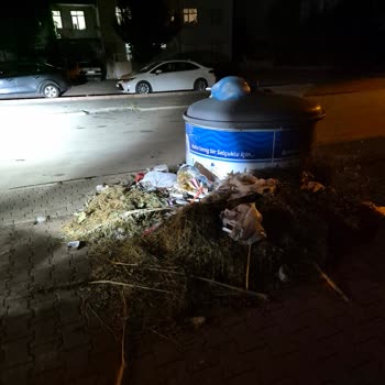 Çöp Konteyneri Çevresindeki Atık Birikimi Çocuklarımızı Sağlıksız Ortama Sürüyor