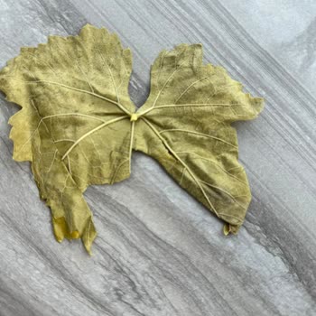 Gelin Görümce Yöresel Ürünler Yırtık Yapraklar Ve Kırıcı Müşteri Mesajları