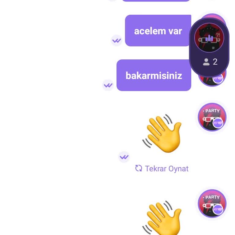 Litmatch Temsilcisi Mesajları Görmezden Gelip Kullanıcıyı Engelledi