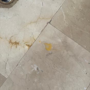 Kırık Yumurta Teslimatı Ve İade İhmalı