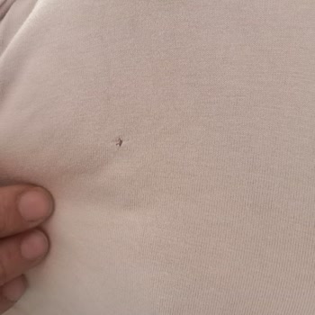 Yanlış Renk Ve Kalitesiz Değişim Ürünleri Nedeniyle İade Talebi