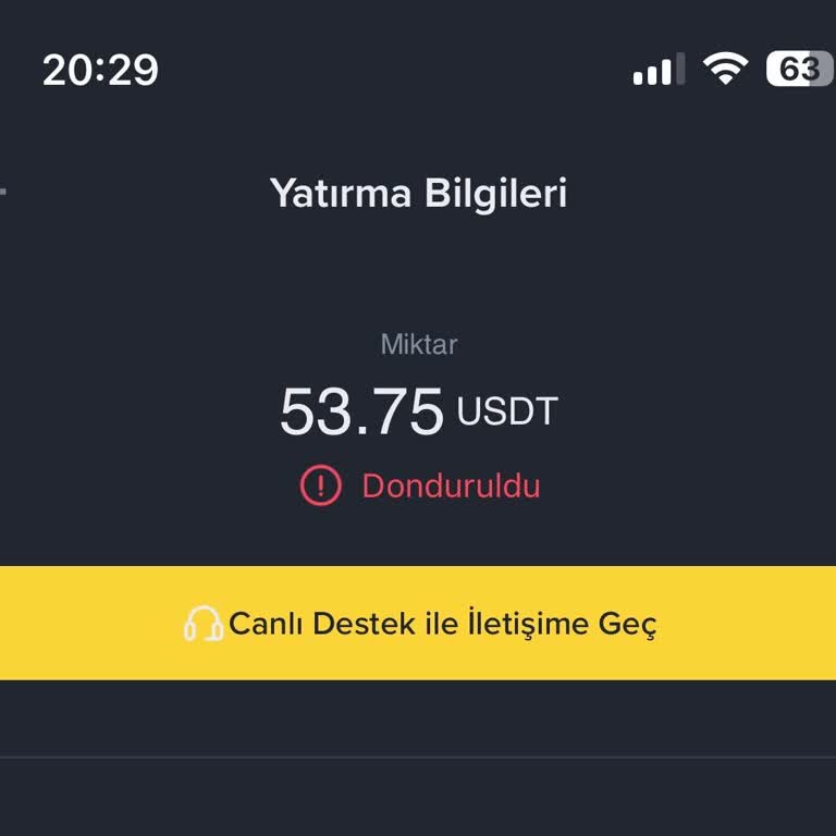 USDT Yatırması Hesaba Yansımıyor Ve Destek Bilgi Vermiyor