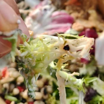 Salata Barındaki Çamurlu Yeşillik Ve Hijyen Sorunu