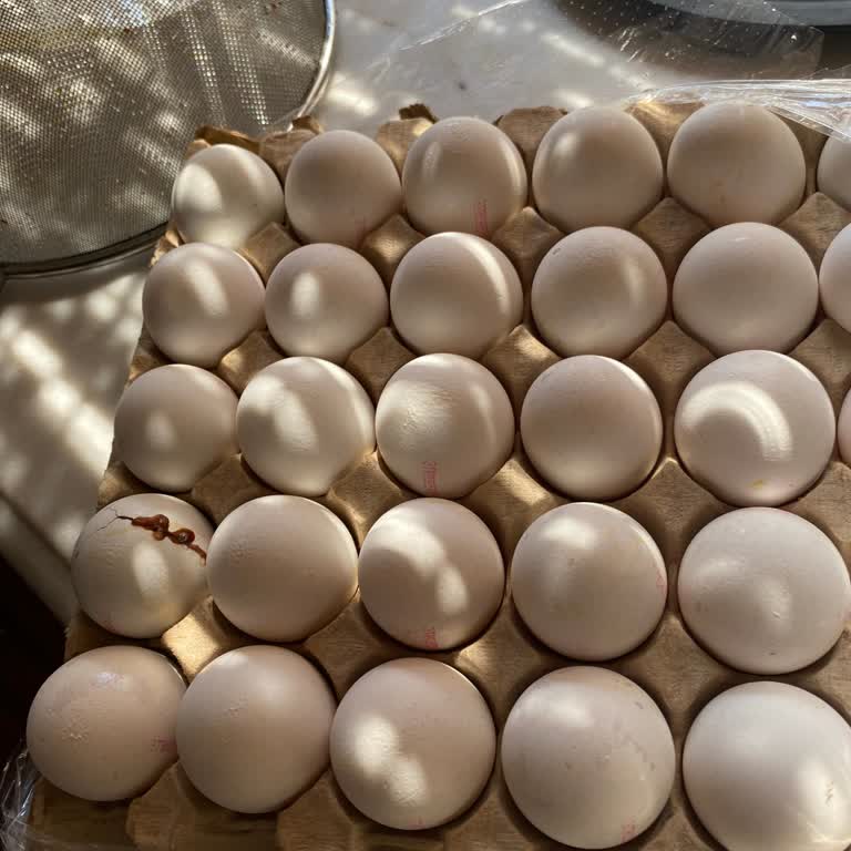 Şok Markette Bozulmuş Yumurta: Koku, Renk Değişimi Ve Gıda Güvenliği Sorunu