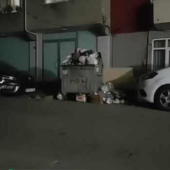 Pendik Belediyesi Konteyner Çöp Dolu