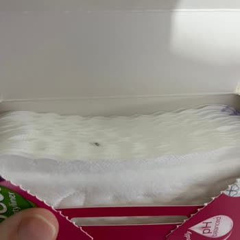 Molped Pedinde Siyah Leke Ve Cevapsızlık