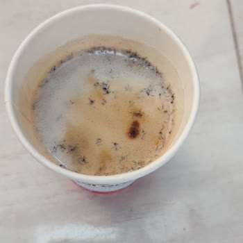 Macgal Otomat Kahvenin Böcek ve Böcek Parçacıklarıyla Dolu Olduğunu Fark Ettim