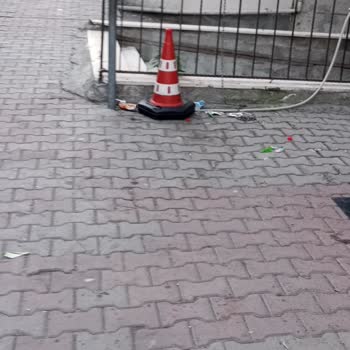 Şok Market Önündeki Çöp Ve Kedi Maması Sorunu
