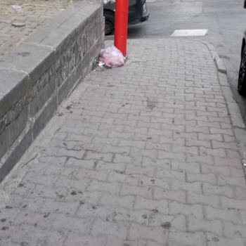 Şok Market Önündeki Çöp Ve Kedi Maması Sorunu