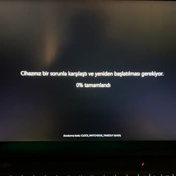 Monster Yetkili Servisi Sonrası GPU VRAM Arızası Ve Oyun Donması