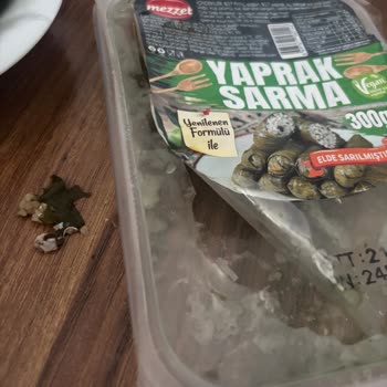 Yaprak Sarma’da Salyangoz Bulunması Ve Sağlık Sorunu