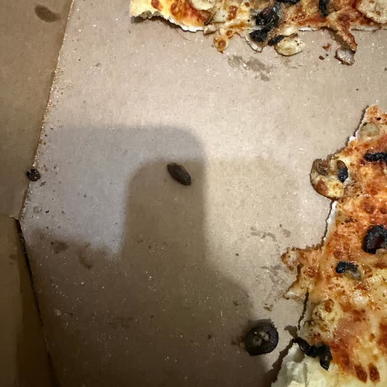 Sarımsaklı Kenarsız Ve Zeytin Çekirdeği İçeren Pizza İçin Koşulsuz İade Talebi