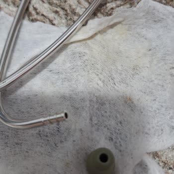 Littmann Stetoskopu Kısa Sürede Deforme Olup Yırtıldı