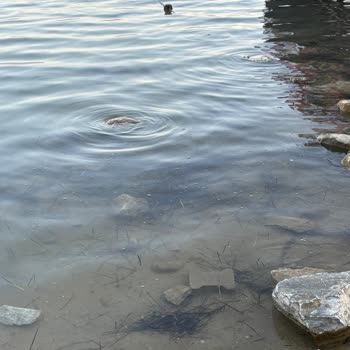 Yanıltıcı Fotoğraflar Ve Kirli Deniz Nedeniyle Hamile Misafir Mağduriyeti