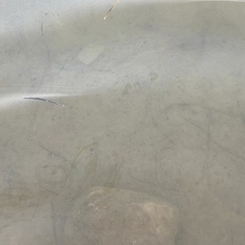 Yanıltıcı Fotoğraflar Ve Kirli Deniz Nedeniyle Hamile Misafir Mağduriyeti