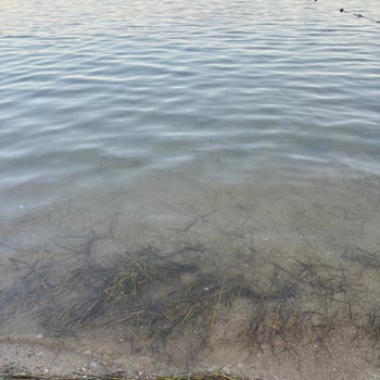 Yanıltıcı Fotoğraflar Ve Kirli Deniz Nedeniyle Hamile Misafir Mağduriyeti
