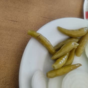 Kırıkkale Ankara Yolu Dinlenme Tesisinde Menemen İçinde Sivrisinek Ölüsü Ve Çorba Kıl