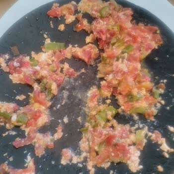 Kırıkkale Ankara Yolu Dinlenme Tesisinde Menemen İçinde Sivrisinek Ölüsü Ve Çorba Kıl