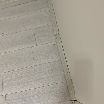 Obilet'ten Yanıltıcı Oda Bilgisi Ve Hijyen Sorunu Nedeniyle Para İadesi Talebi