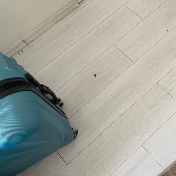 Obilet'ten Yanıltıcı Oda Bilgisi Ve Hijyen Sorunu Nedeniyle Para İadesi Talebi