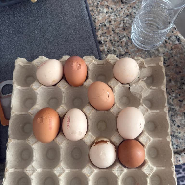 BİM Yıldıztabya Şubesinde Kırık Yumurta Şikayeti Ve İade Talebi